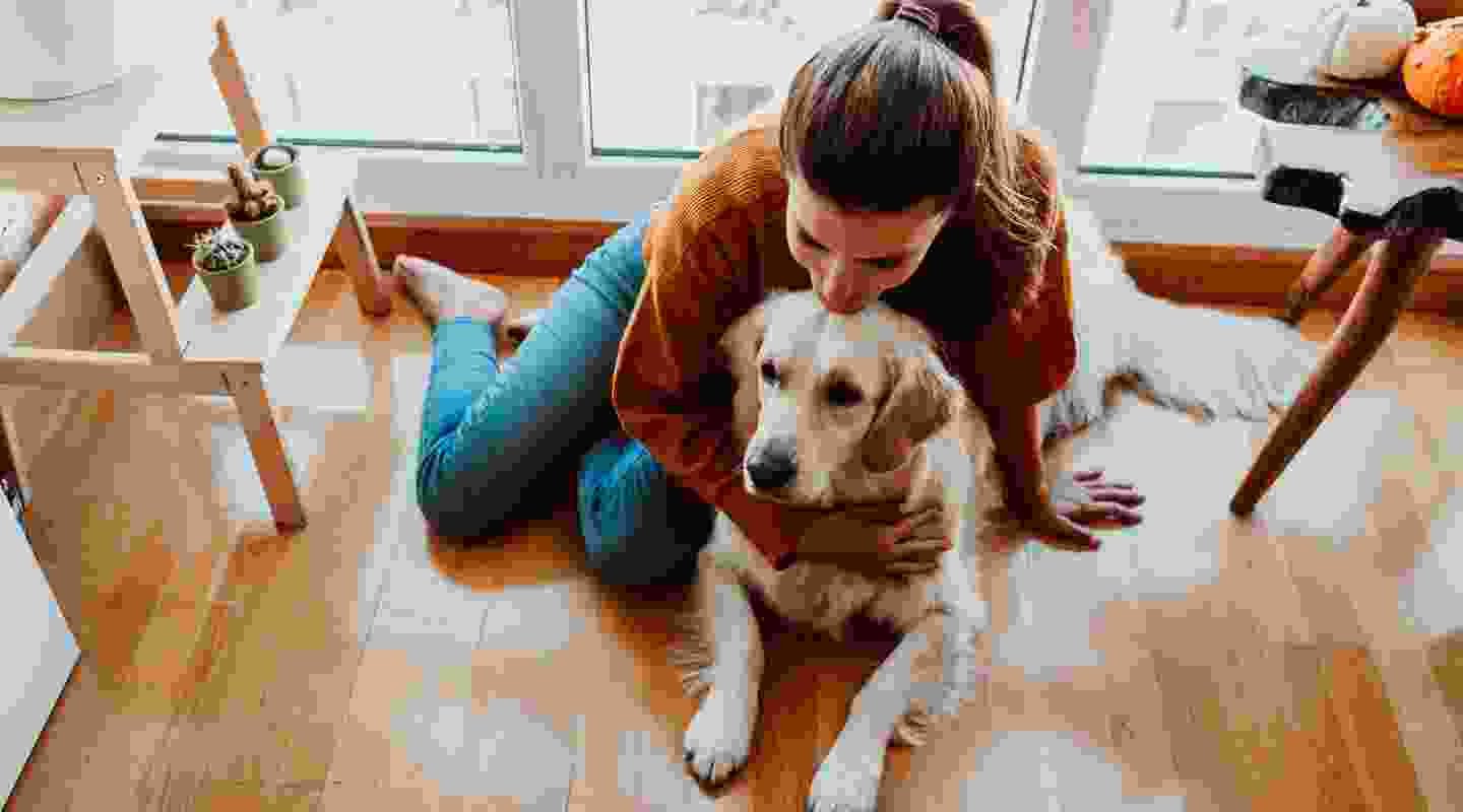 Interesting Facts To Know Before Caring Pet