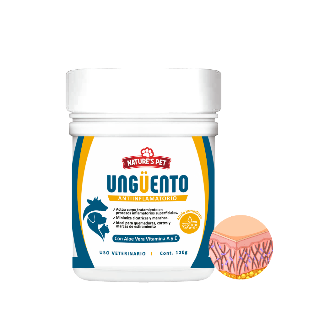 Shop Secondary Image