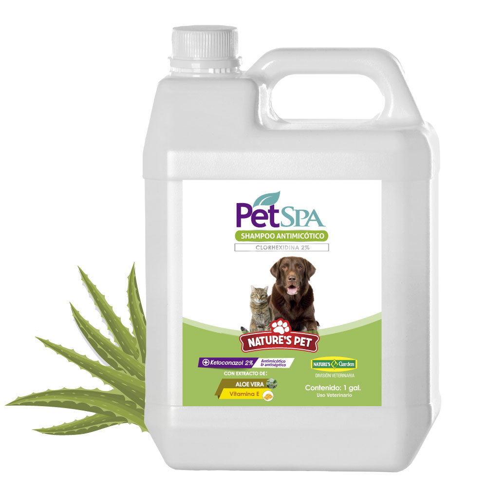 Shop Secondary Image