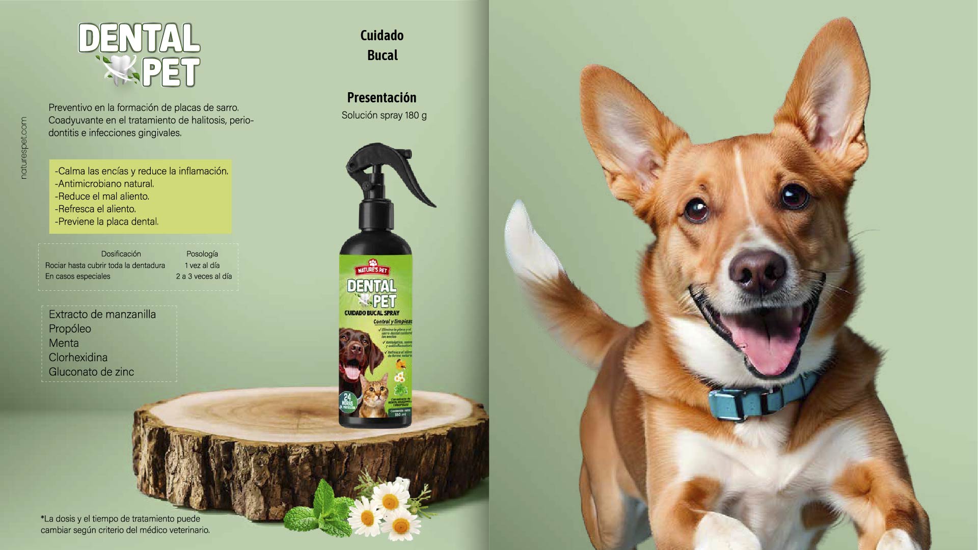 DENTALPET - Natures Pet