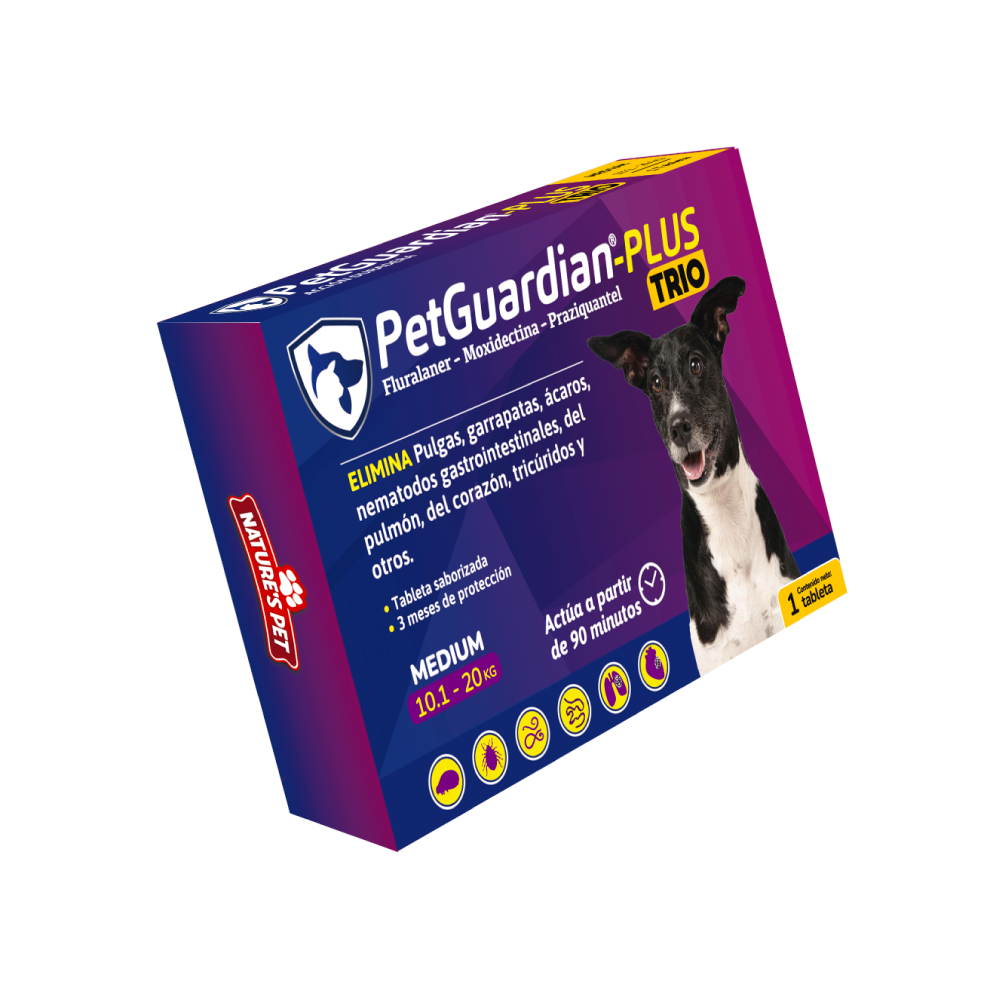 Shop Secondary Image Shop Secondary Image