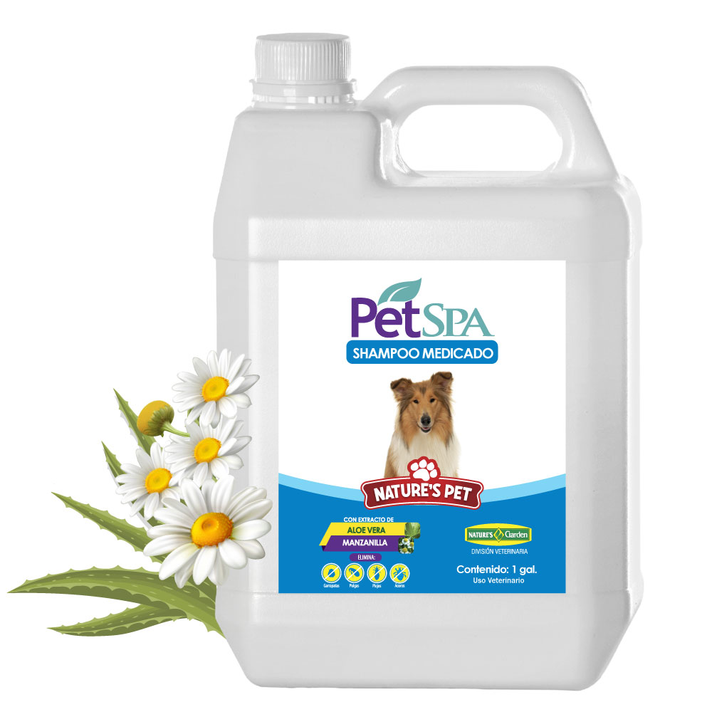 Shop Secondary Image