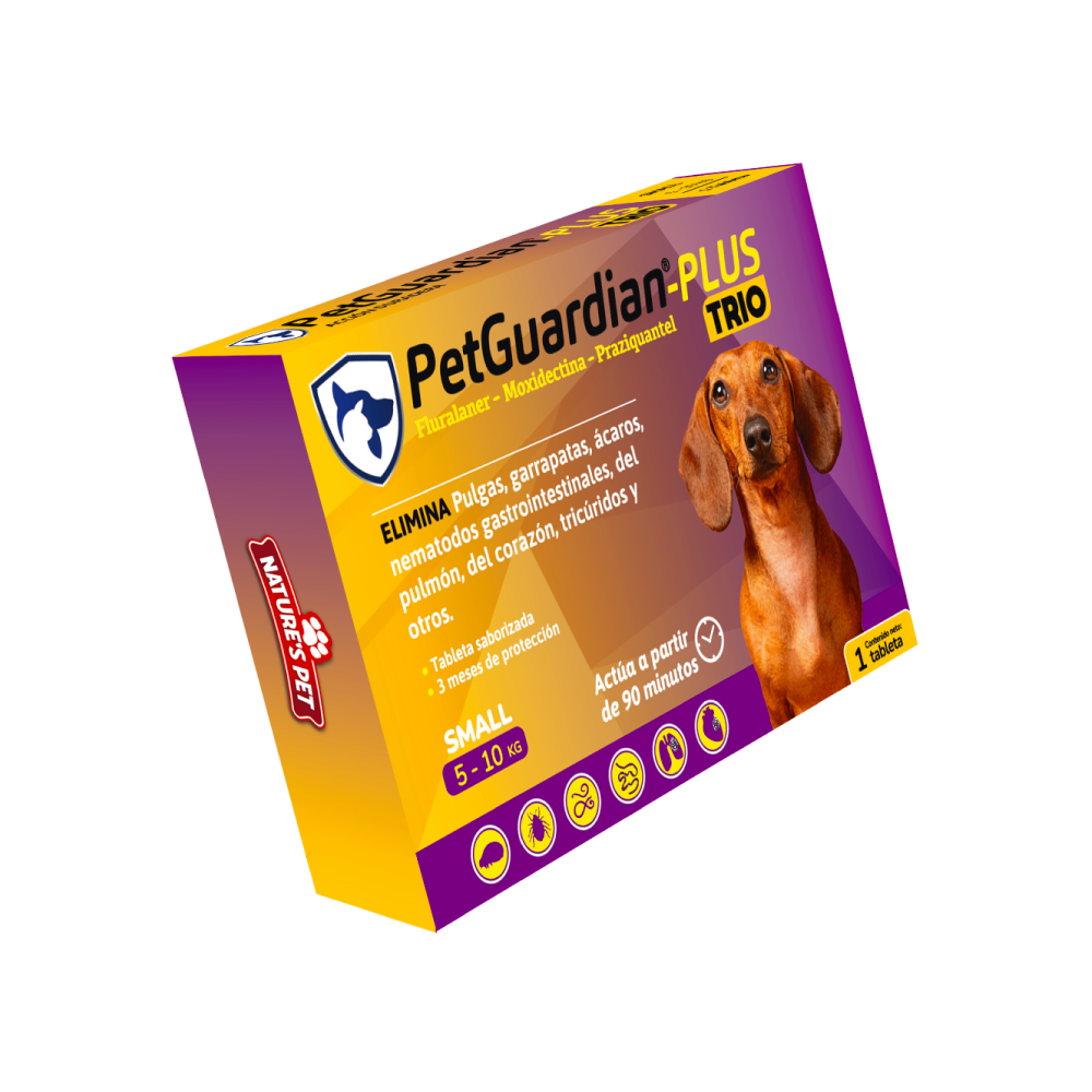 Shop Secondary Image